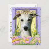 Ostereier-Cookies - Whippet Feiertagspostkarte (Vorne/Hinten)