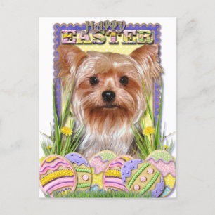 Ostereier-Cookies - Yorkshire Terrier Feiertagspostkarte
