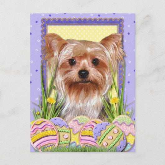 Ostereier-Cookies - Yorkshire Terrier Feiertagspostkarte (Vorderseite)