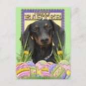 Ostereier - Dackel Feiertagspostkarte (Vorderseite)