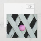 Ostereier Feiertagspostkarte (Vorne/Hinten)