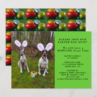 Ostereier Jagd und Party Hunde Einladung