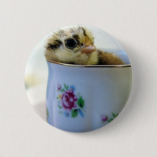 Ostereier Küken im Cup Button (Vorderseite)