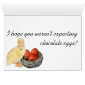 Ostereier Nest Niedlich Gelbente Wasserfarbe (Innenansicht Horizontal (Unten))