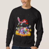 Ostereier Niedlich Spider Ostersonntag Sweatshirt (Vorderseite)