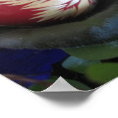 Ostereier Poster (Ecke)