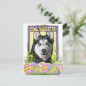 Ostereier - Sibirischer Husky Feiertagspostkarte (Stehend Vorderseite)