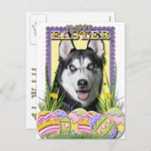 Ostereier - Sibirischer Husky Feiertagspostkarte (Vorne/Hinten)