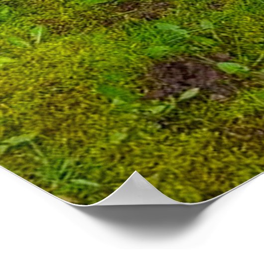 Ostereierjagd und Party Hunde Value Poster (Ecke)