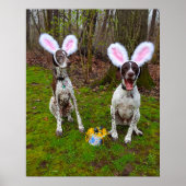 Ostereierjagd und Party Hunde Value Poster (Vorne)