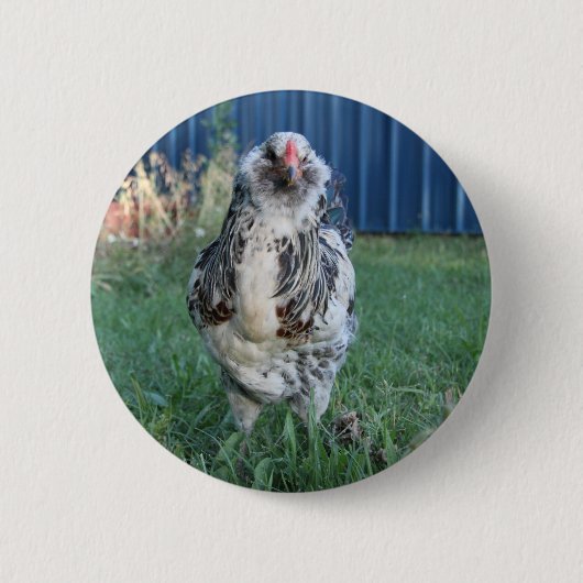 Ostereiger Button (Vorderseite)