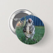 Ostereiger Button (Vorne & Hinten)