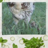 Ostereiger Geschirrtuch (Gefaltet)