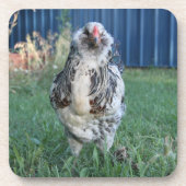 Ostereiger Getränkeuntersetzer (Vorderseite)