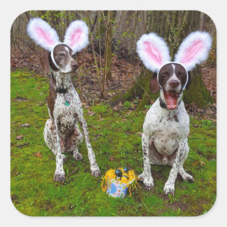 Ostereisjagd und Party Hunde Runde Sticker