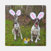 Ostereisjagd und Party Hunde Square Magnet (Vorne)