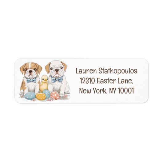 Osterenglische Bulldogs (Vorne)