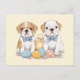 Osterenglische Bulldogs Feiertagspostkarte