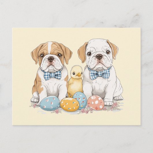 Osterenglische Bulldogs Feiertagspostkarte (Vorderseite)