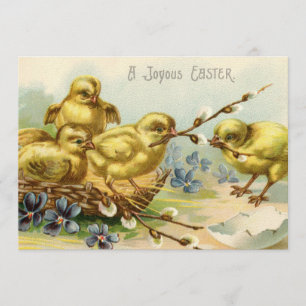 Osterfeier-Einladung mit Vintage-Osterküken Einladung