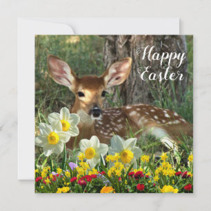 Osterfeiertag mit Reh und Frühlingsblumen  Karte