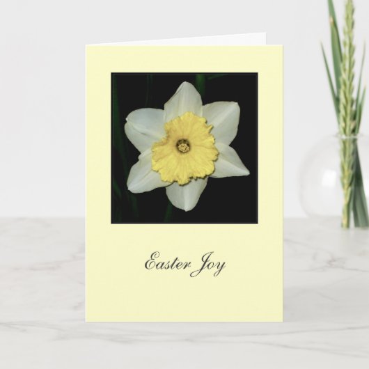 "Osterfreude" daffodil Grußkarte Feiertagskarte (Vorderseite)