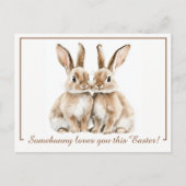 🐇 Ostergenuss Feiertagspostkarte (Vorderseite)