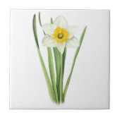 Osterglocke-Blume Fliese (Vorderseite)