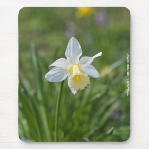 Osterglocke Mousepad