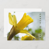 Osterglocke ・ Oster-Postkarte Postkarte (Vorne/Hinten)