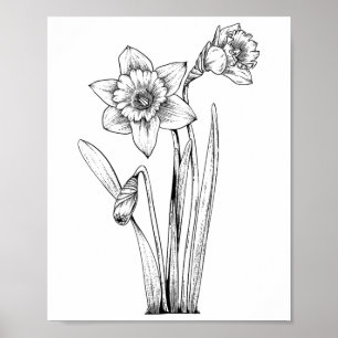 Osterglocke Osterglocken Blumen Floral Frühling Os Poster