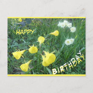 Osterglocken Arctic Bells Alles Gute zum Geburtsta Feiertagspostkarte