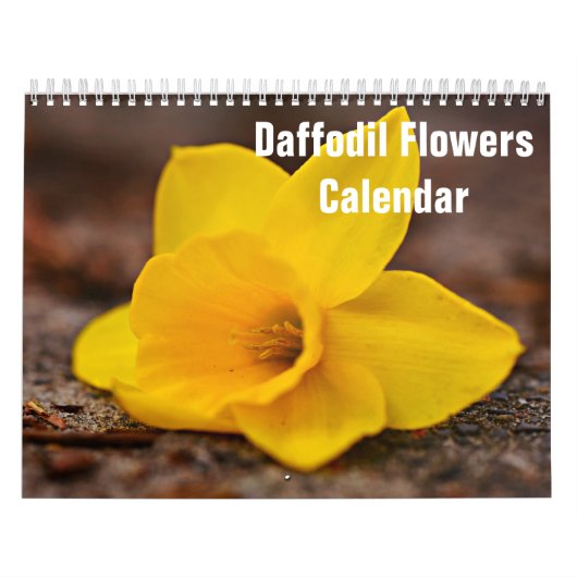 Osterglocken Blumen 2027 Kalender (Titelbild)