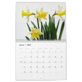 Osterglocken Blumen 2027 Kalender (Mär 2027)