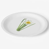 Osterglocken-Blumen-Botanische Kunst Pappteller (Schrägansicht)