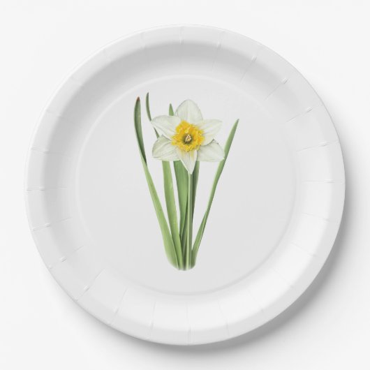 Osterglocken-Blumen-Botanische Kunst Pappteller (Vorderseite)