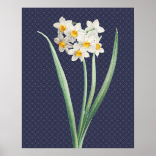Osterglocken-Blumen Vintage Retro Kunstposter Poster