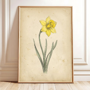 Osterglocken-Botanische-Antike-Wandkunst Poster