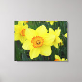 Osterglocken - Keilrahmenbild Leinwanddruck (Vorderseite)