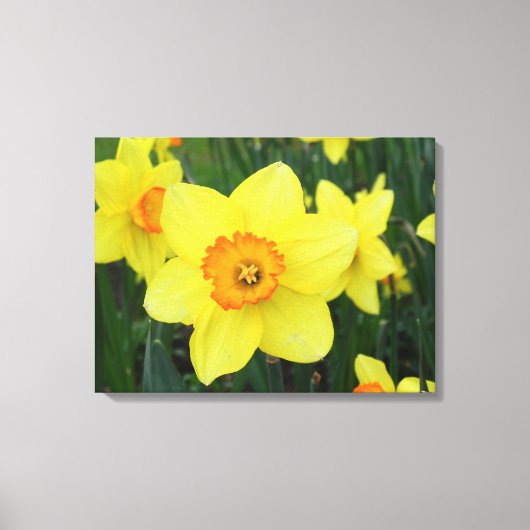 Osterglocken - Keilrahmenbild Leinwanddruck (Vorderseite)