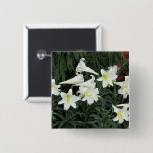 Osterglocken-Lilie (Lilium regale) Button (Vorne & Hinten)