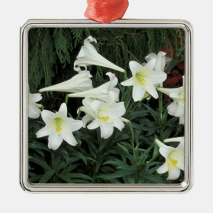 Osterglocken-Lilie (Lilium regale) Silbernes Ornament