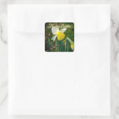 Osterglocken & Ostergrüße Quadratischer Aufkleber (Tasche)