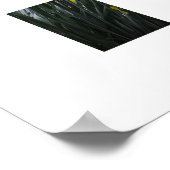 Osterglocken poster (Ecke)