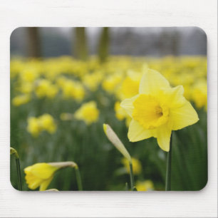 Osterglocken (RF) Mousepad