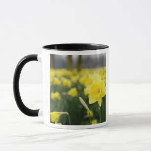 Osterglocken (RF) Tasse