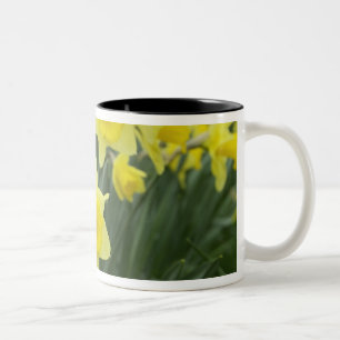 Osterglocken RF) Zweifarbige Tasse
