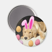 Ostergolden Retriever Magnet (Vorderseite/Rückseite)