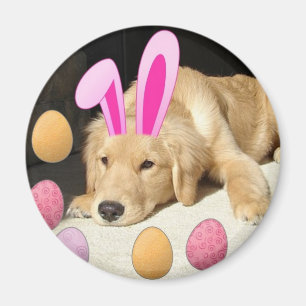 Ostergolden Retriever Magnet
