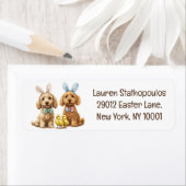 Ostergoldendoodle-Hunde (Insitu)